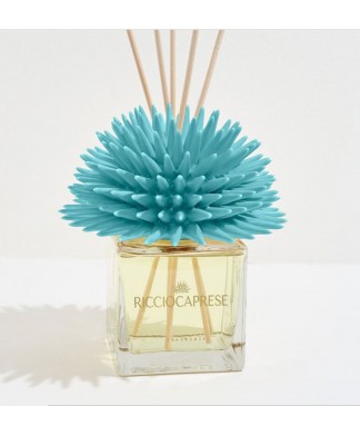 Ricciocaprese Diffuseur de parfum Aquamarine