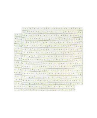 Serviette de table lin (par 2) 45×45 – Motif ARRASTA PÉ couleur VERT